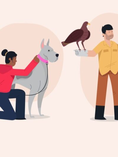 🐾 Pomoc i wolontariat dla zwierząt